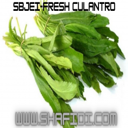 SBJEI-FRESH CULANTRO